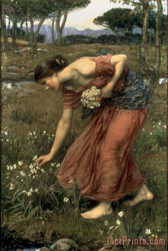 Narcissus 1912 painting - John William Waterhouse Narcissus 1912 Art Print