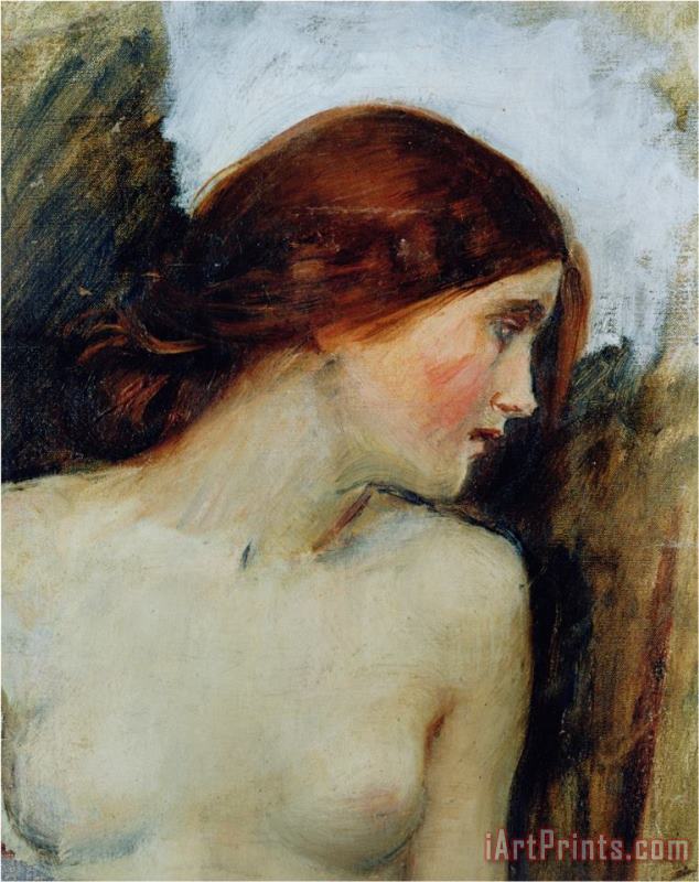 Study for The Head of Echo C 1903 Oil on Canvas See 55607 painting - John William Waterhouse Study for The Head of Echo C 1903 Oil on Canvas See 55607 Art Print