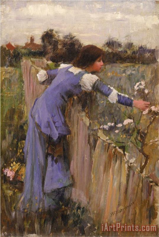 The Flower Picker Oil on Canvas painting - John William Waterhouse The Flower Picker Oil on Canvas Art Print