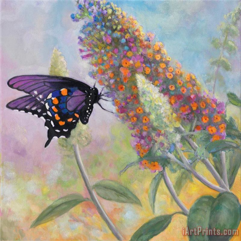 John Zaccheo Admiral Butterfly Art Painting