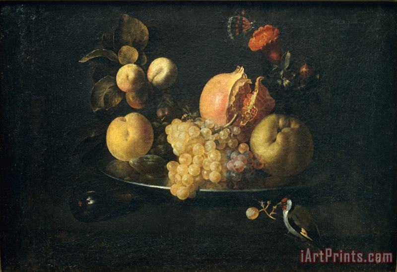 Still Life with Fruit And Goldfinch painting - Juan de Zurbaran Still Life with Fruit And Goldfinch Art Print
