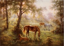 Judy Gibson A Summer Morn painting