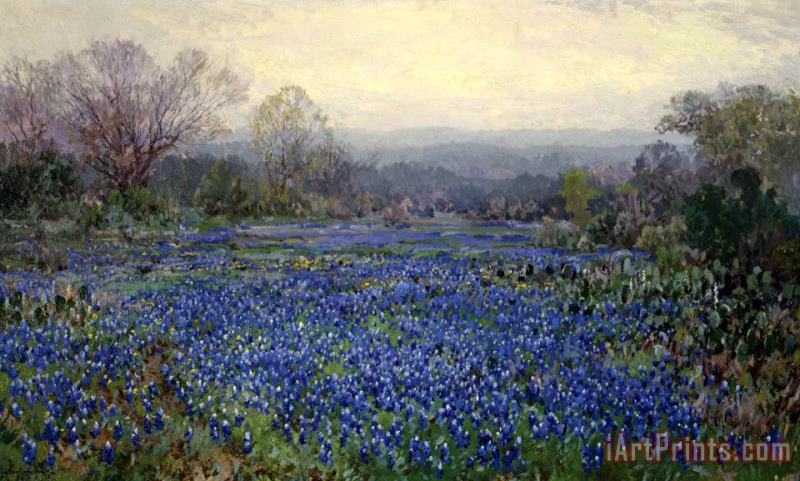 Untitled (field of Bluebonnets), N.d. painting - Julian Onderdonk Untitled (field of Bluebonnets), N.d. Art Print