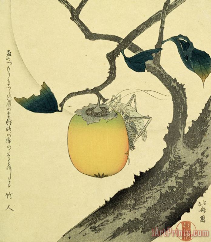 Katsushika Hokusai Moon Persimmon And Grasshopper Art Print