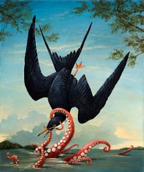 Kevin Sloan Icarus, 2015