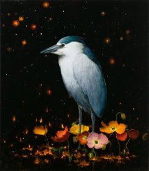 Kevin Sloan Night Heron with Universe And Poppies, 2022