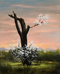 Kevin Sloan Robert's Apple Tree After The Storm, 2019