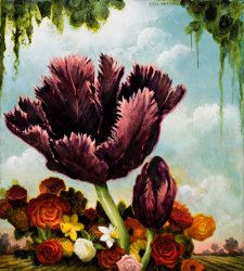 Kevin Sloan The Ascension of St. Tulipa, 2023