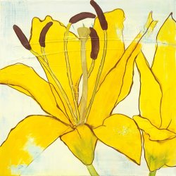 Laura Gunn Lily Suite III