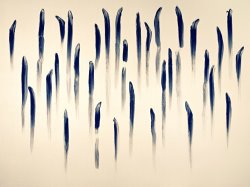 Lee Ufan From Line painting