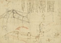 Leonardo da Vinci Aircraft Machine Has Been Reduced To Simplest Shape Wings Directly Put On Human Body By Straps painting