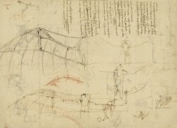 Leonardo da Vinci Aircraft The Machine Has Been Reduced To The Simplest Shape painting