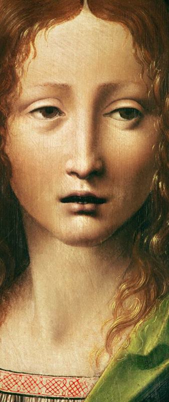 Head Of The Savior painting - Leonardo da Vinci Head Of The Savior Art Print