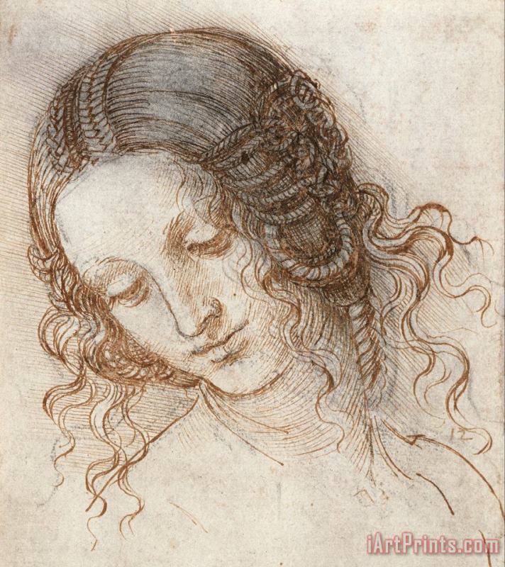 Leonardo da Vinci Leonardo Head Of Woman Drawing Art Print