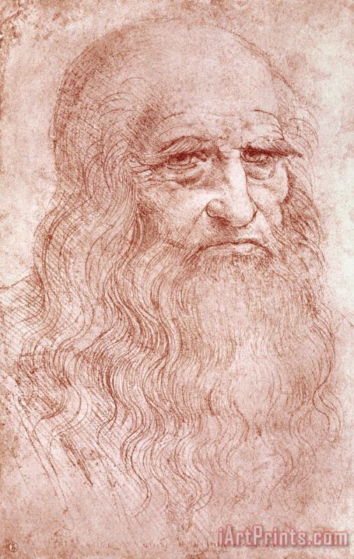 Portrait Of A Bearded Man painting - Leonardo da Vinci Portrait Of A Bearded Man Art Print