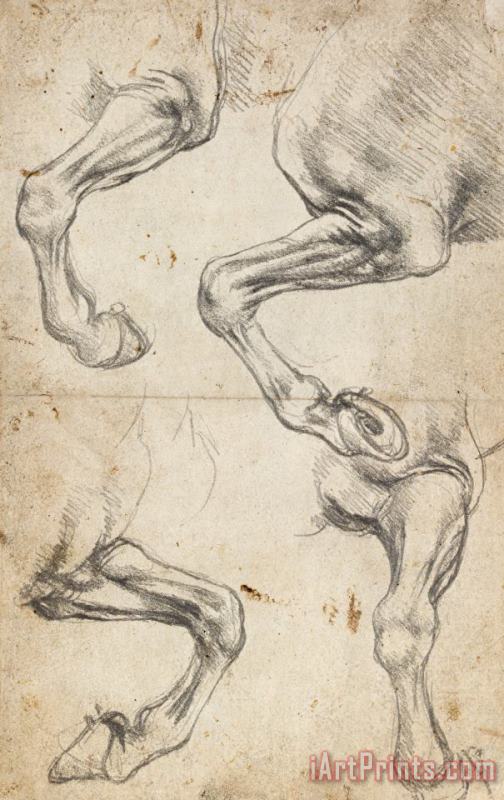 Leonardo da Vinci Study For Horse Legs Art Painting