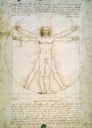 Leonardo da Vinci The Proportions of the human figure