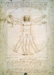 Leonardo da Vinci The Proportions of the Human Figure painting