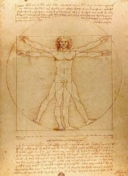 Leonardo da Vinci The Vitruvian Man painting