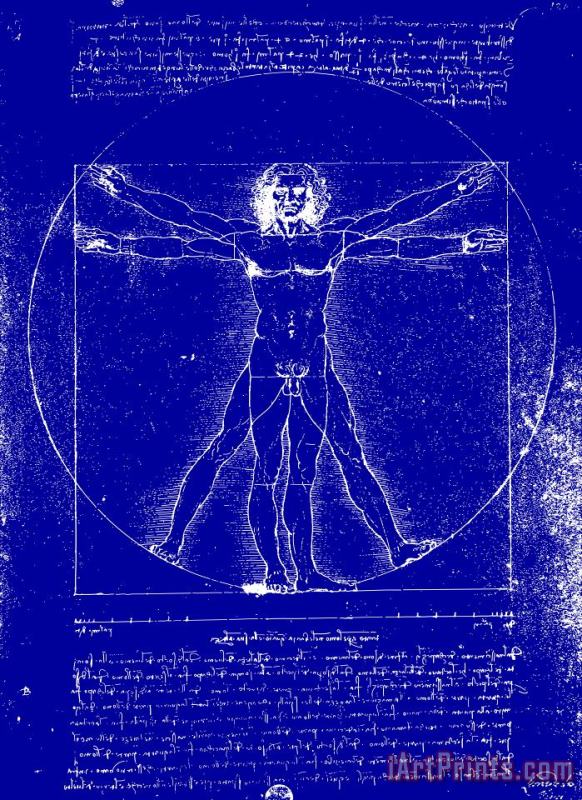 Vitruvian Blueprint painting - Leonardo da Vinci Vitruvian Blueprint Art Print
