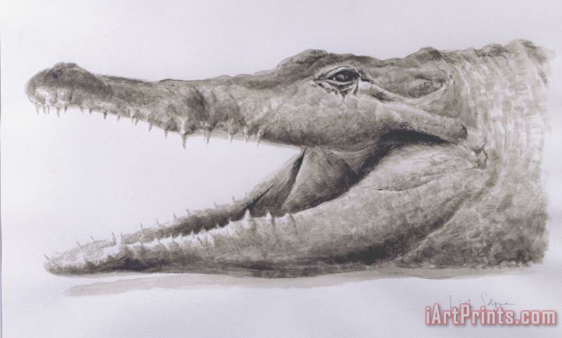 Crocodile painting - Lincoln Seligman Crocodile Art Print