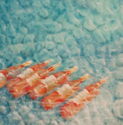 Lincoln Seligman Wine Cooling painting