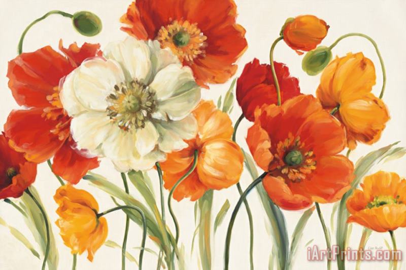 Lisa Audit Poppies Melody I Art Painting