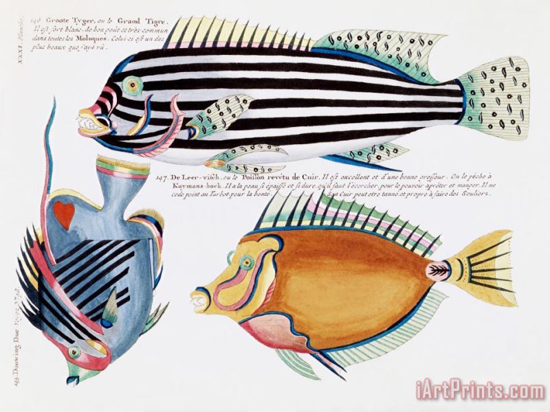 Louis Renard Fish Art Painting