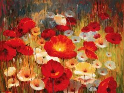 Lucas Santini Meadow Poppies I