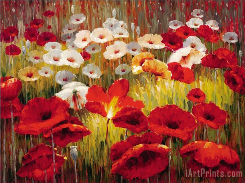 Meadow Poppies II painting - Lucas Santini Meadow Poppies II Art Print