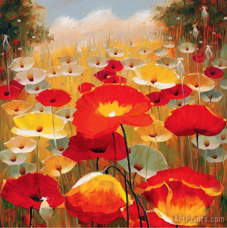 Meadow Poppies Iv painting - Lucas Santini Meadow Poppies Iv Art Print