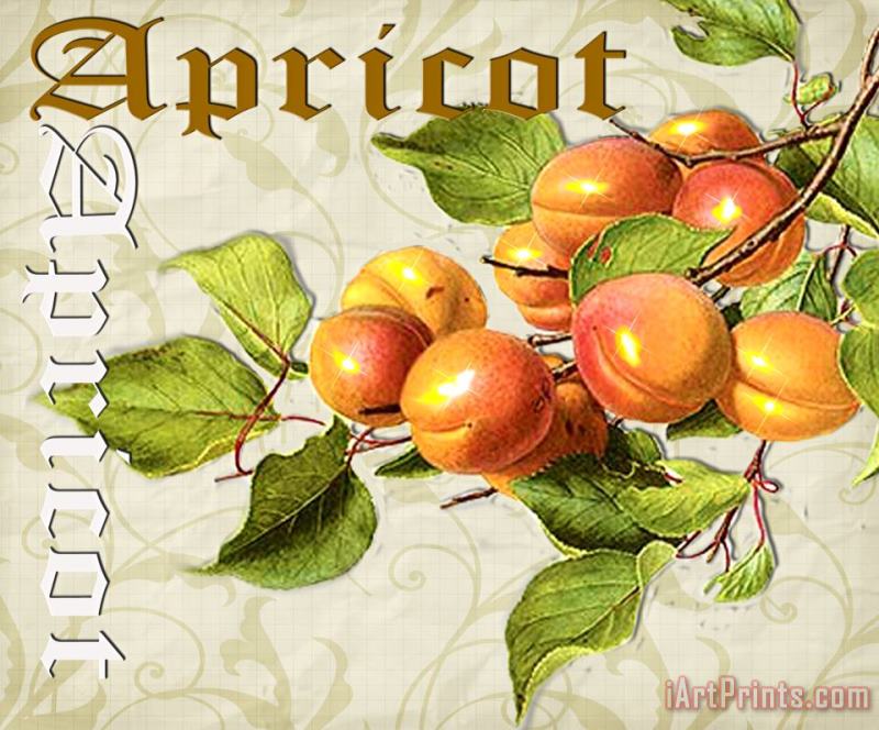 Apricot painting - Lynell Withers Apricot Art Print