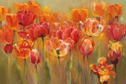 Marilyn Hageman Tulips in The Midst III