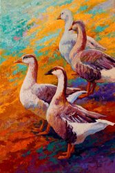Marion Rose A Gaggle Of Four - Geese