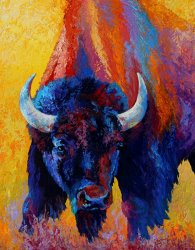 Marion Rose Back Off - Bison