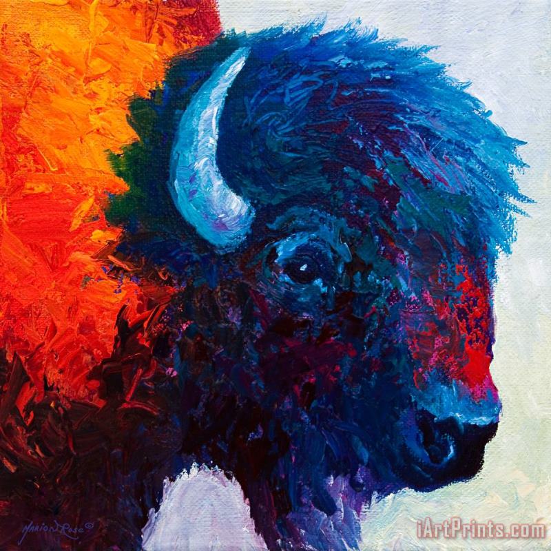 Bison Head Color Study I painting - Marion Rose Bison Head Color Study I Art Print