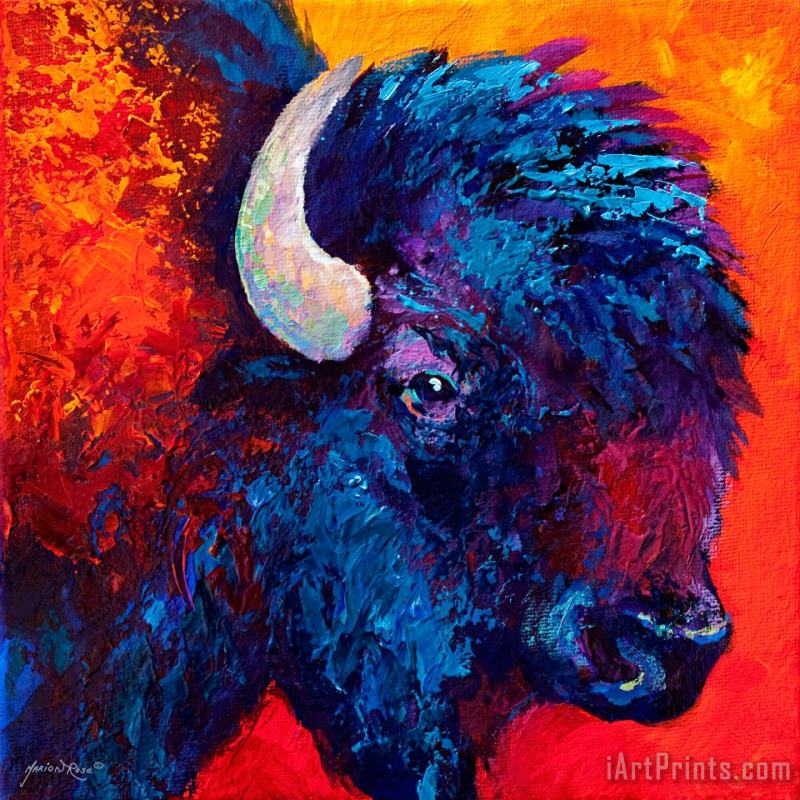Marion Rose Bison Head Color Study II Art Painting