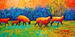 Marion Rose Blackberries and Sheep II