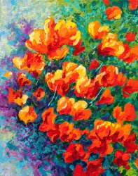 Marion Rose California Poppies