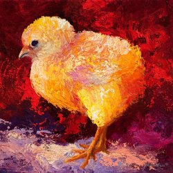 Marion Rose Chic Flci III painting