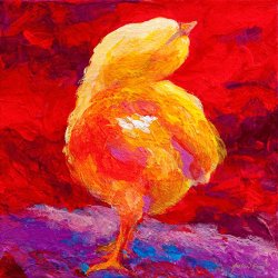 Marion Rose Chic Flic V