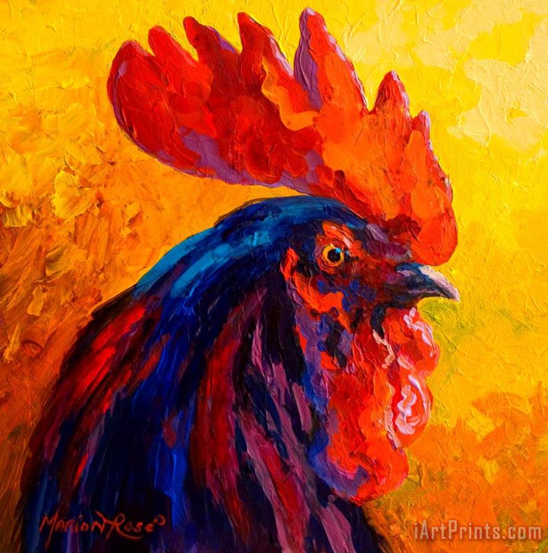 Marion Rose Cocky - Rooster Art Print