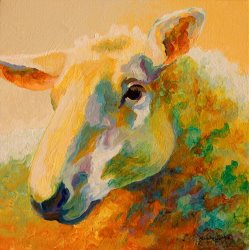 Marion Rose Ewe Portrait III