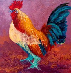 Marion Rose Fancy Pants - Rooster