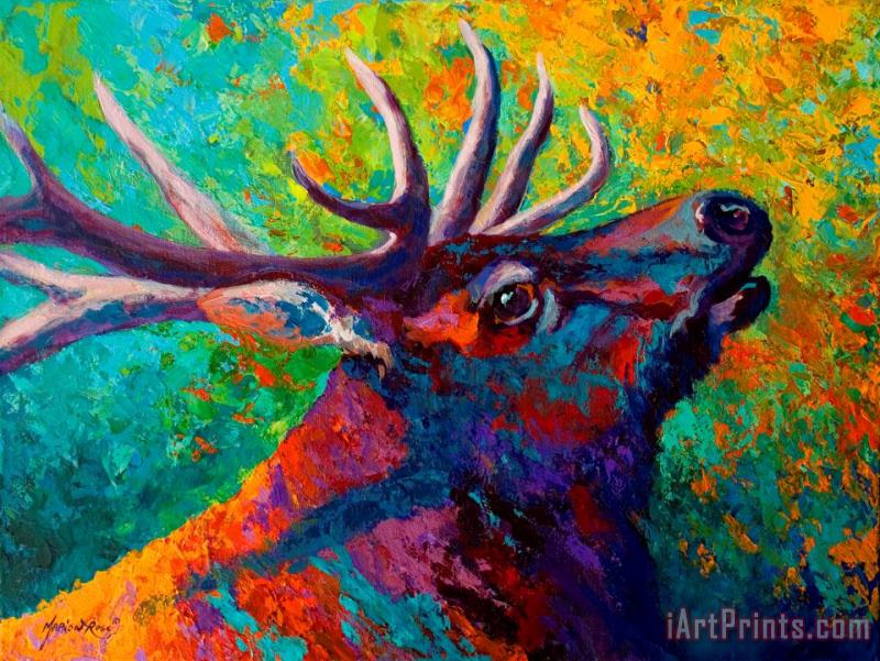 Forest Echo - Bull Elk painting - Marion Rose Forest Echo - Bull Elk Art Print