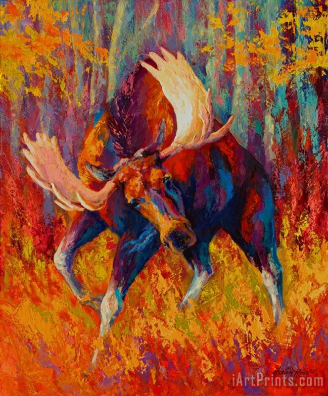 Marion Rose Imminent Charge - Bull Moose Art Print