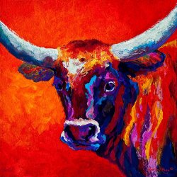 Marion Rose Longhorn Steer