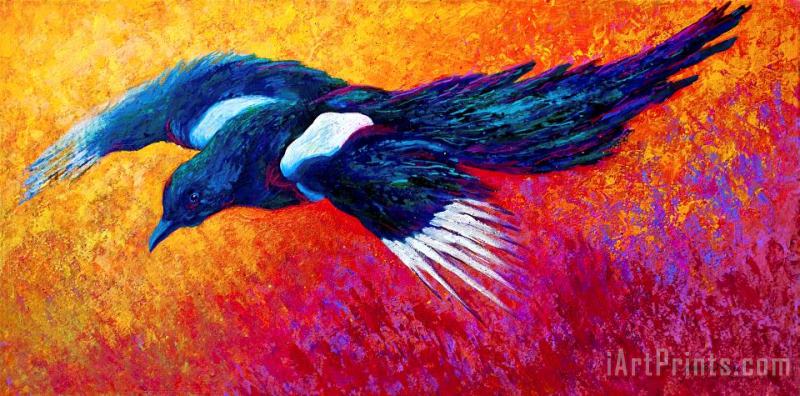 Magpie In Flight painting - Marion Rose Magpie In Flight Art Print
