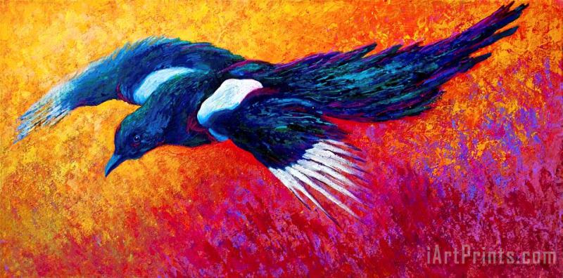 Magpie in Flight painting - Marion Rose Magpie in Flight Art Print