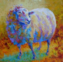 Marion Rose Me Me Me - Sheep